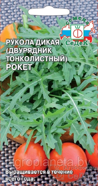 Руккола Культурная ВИКТОРИЯ, 1г