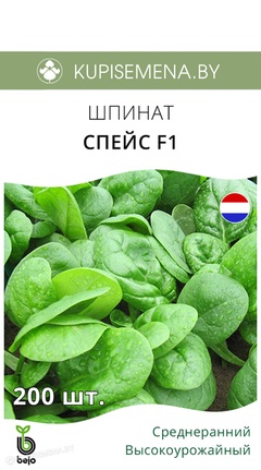 Семена "Шпинат Спейс" F1 2 гр. 